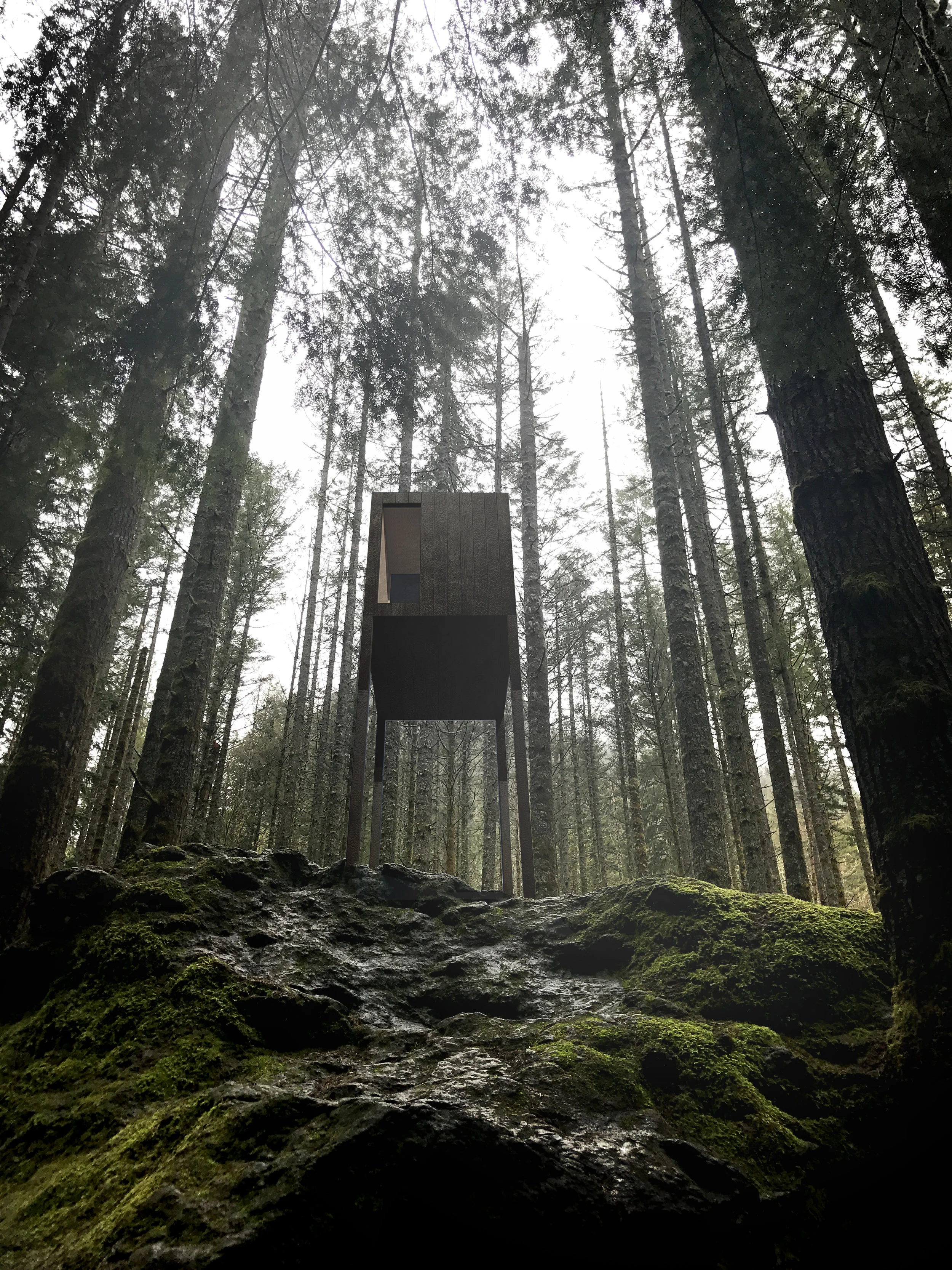 Tree Render.jpg