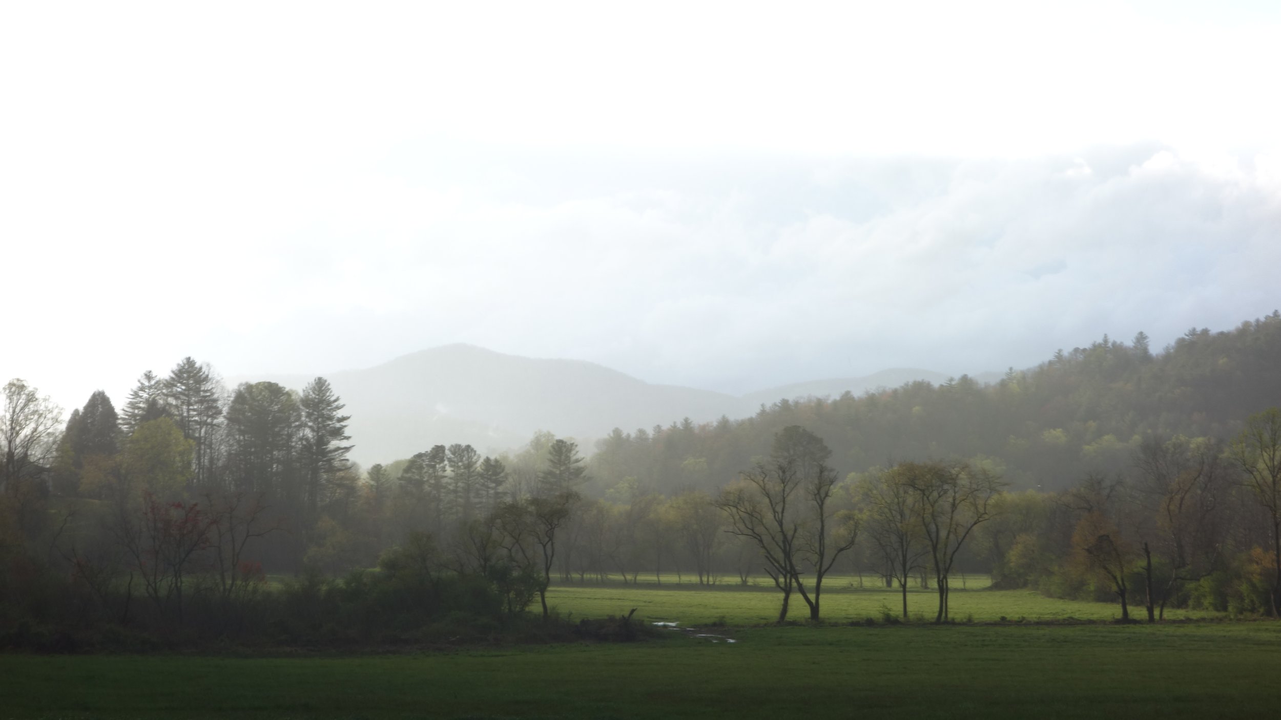 Pasture pre-Rainstorm