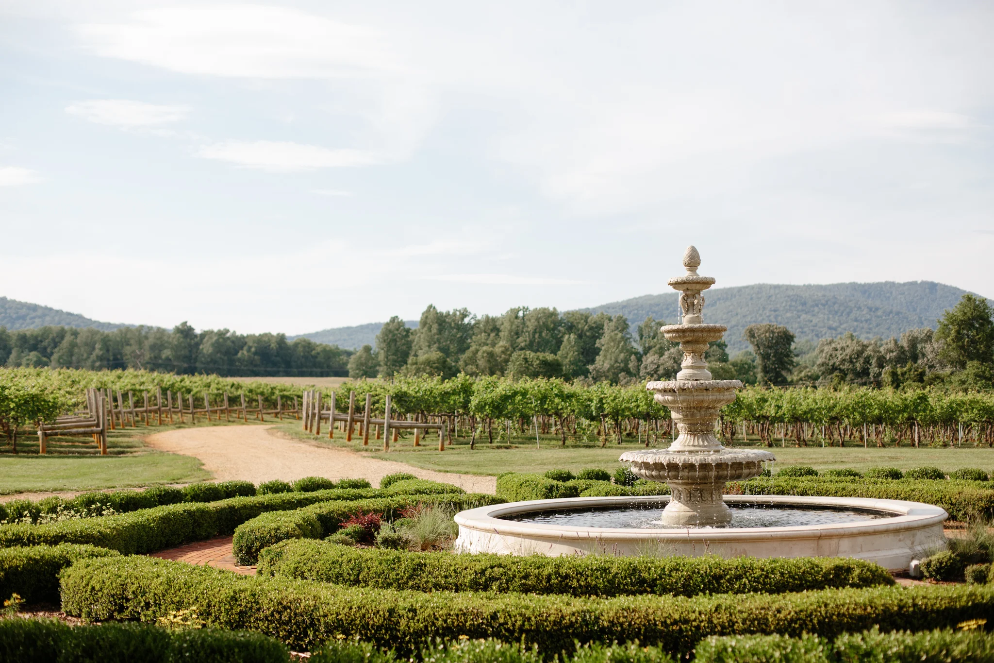 Keswick-Vineyards-Wedding_25.jpg