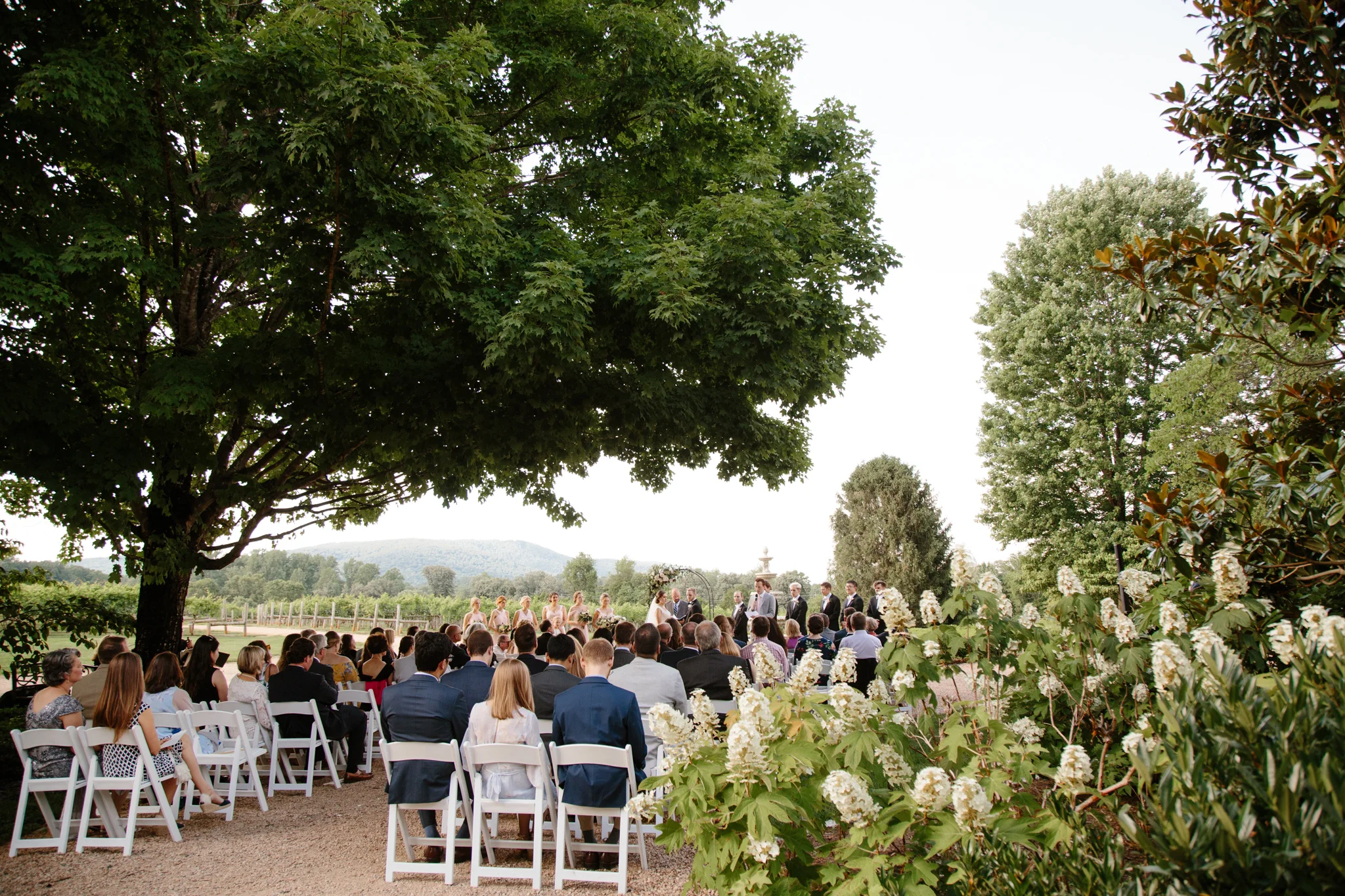 Keswick-Vineyards-Wedding_32.jpg