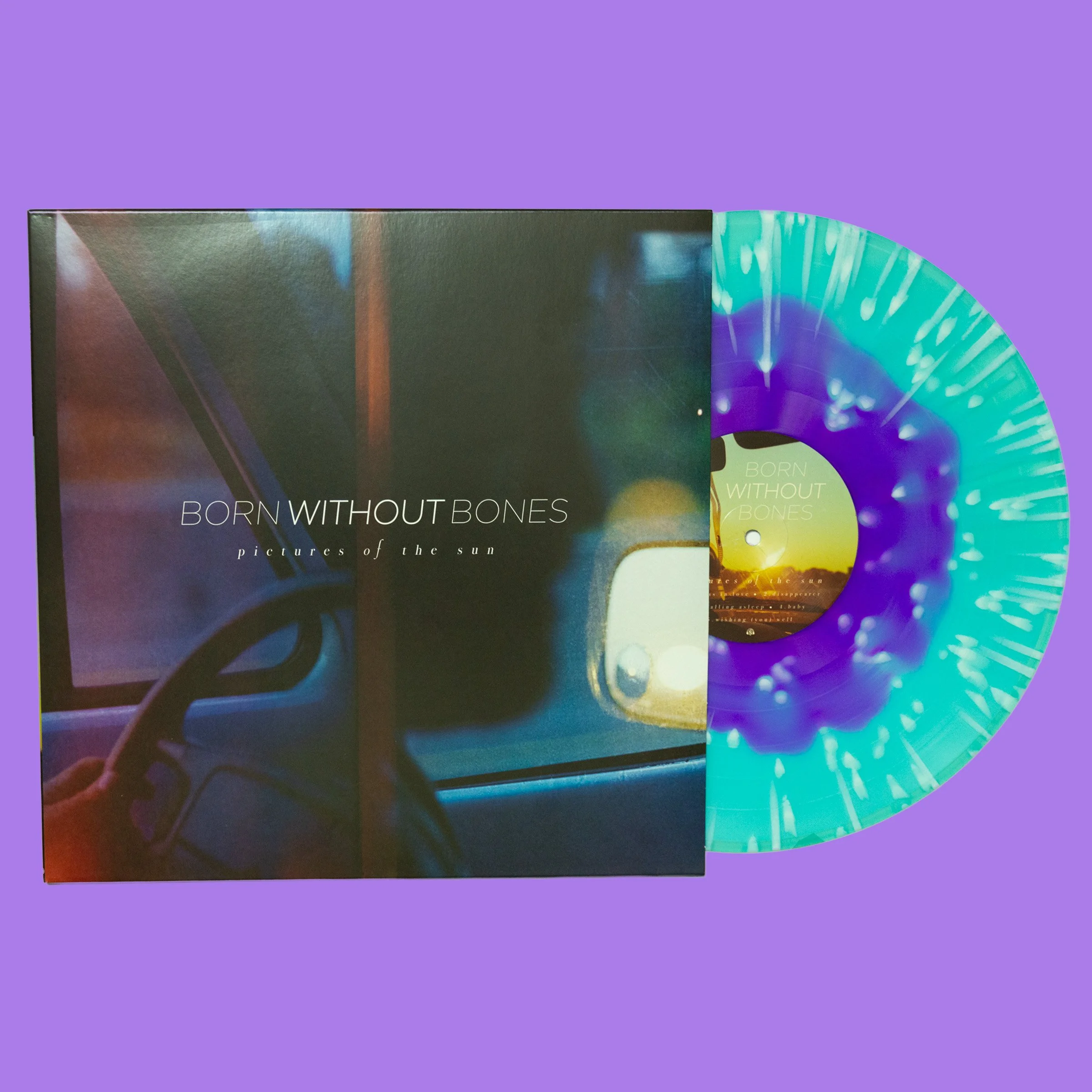 PICTURES OF THE SUN VINYL