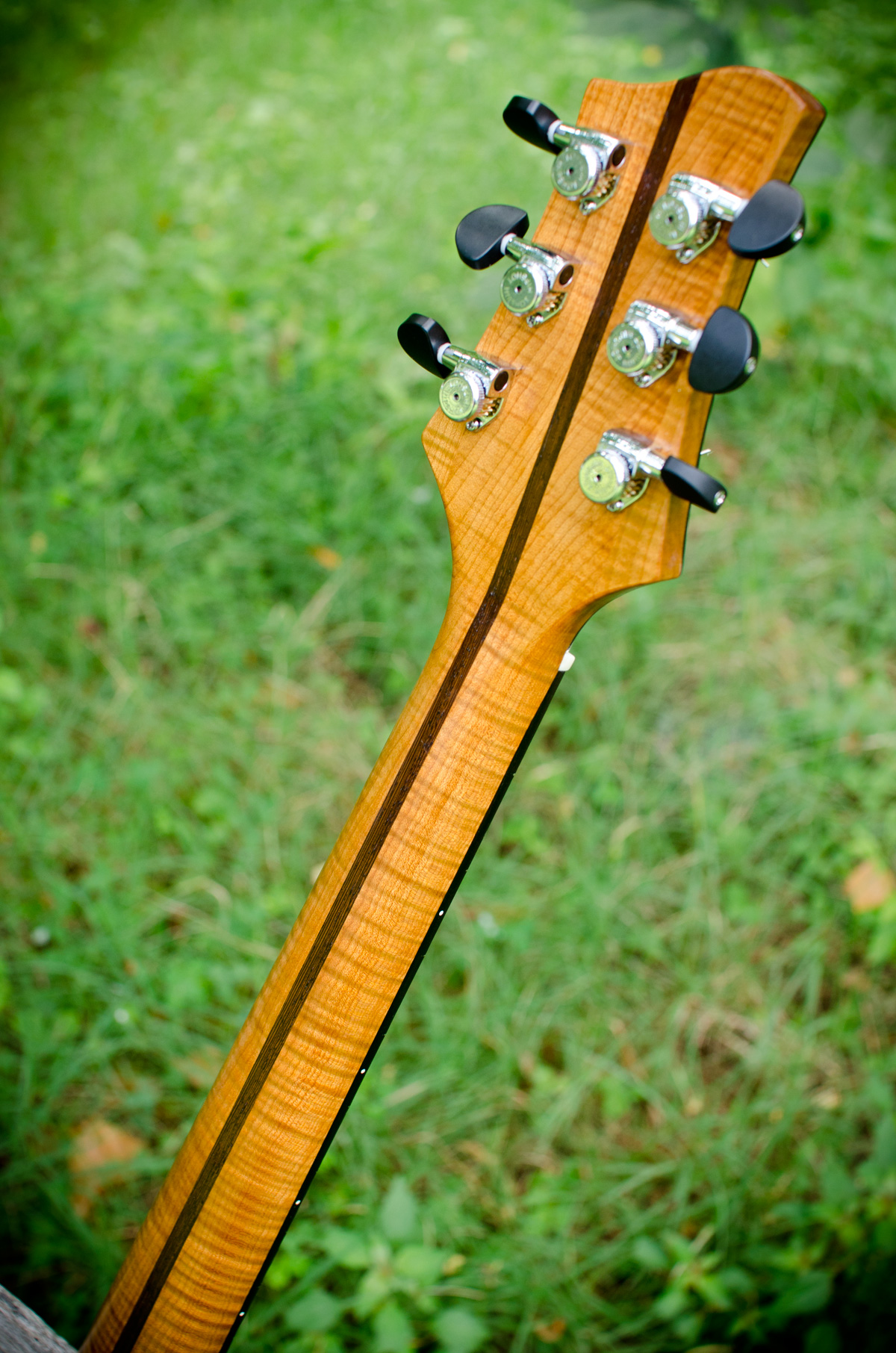 DSC_0731.jpg