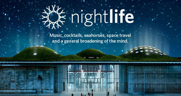 nightlife3.jpg