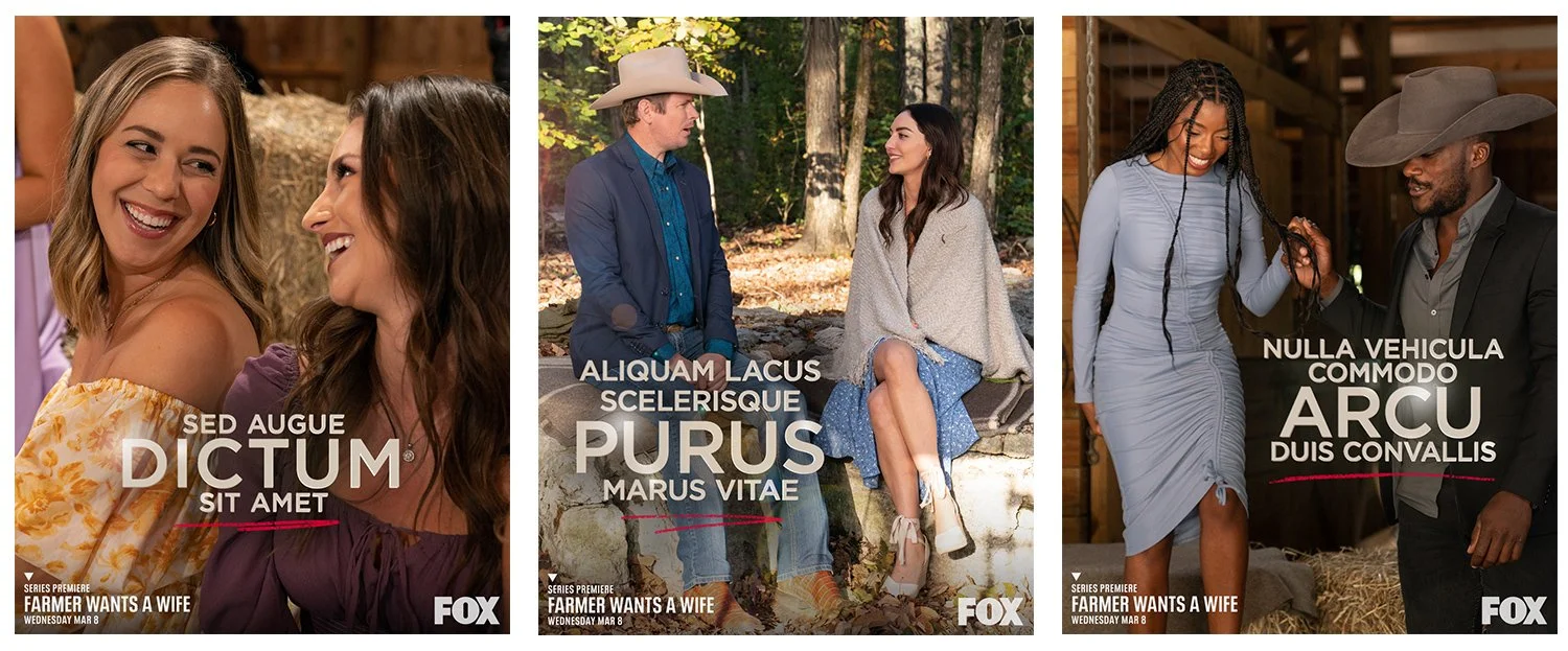  The templates contain varying fonts, font colors, and style elements that are quickly editable, allowing for a varied, yet cohesive look to a social media feed. 