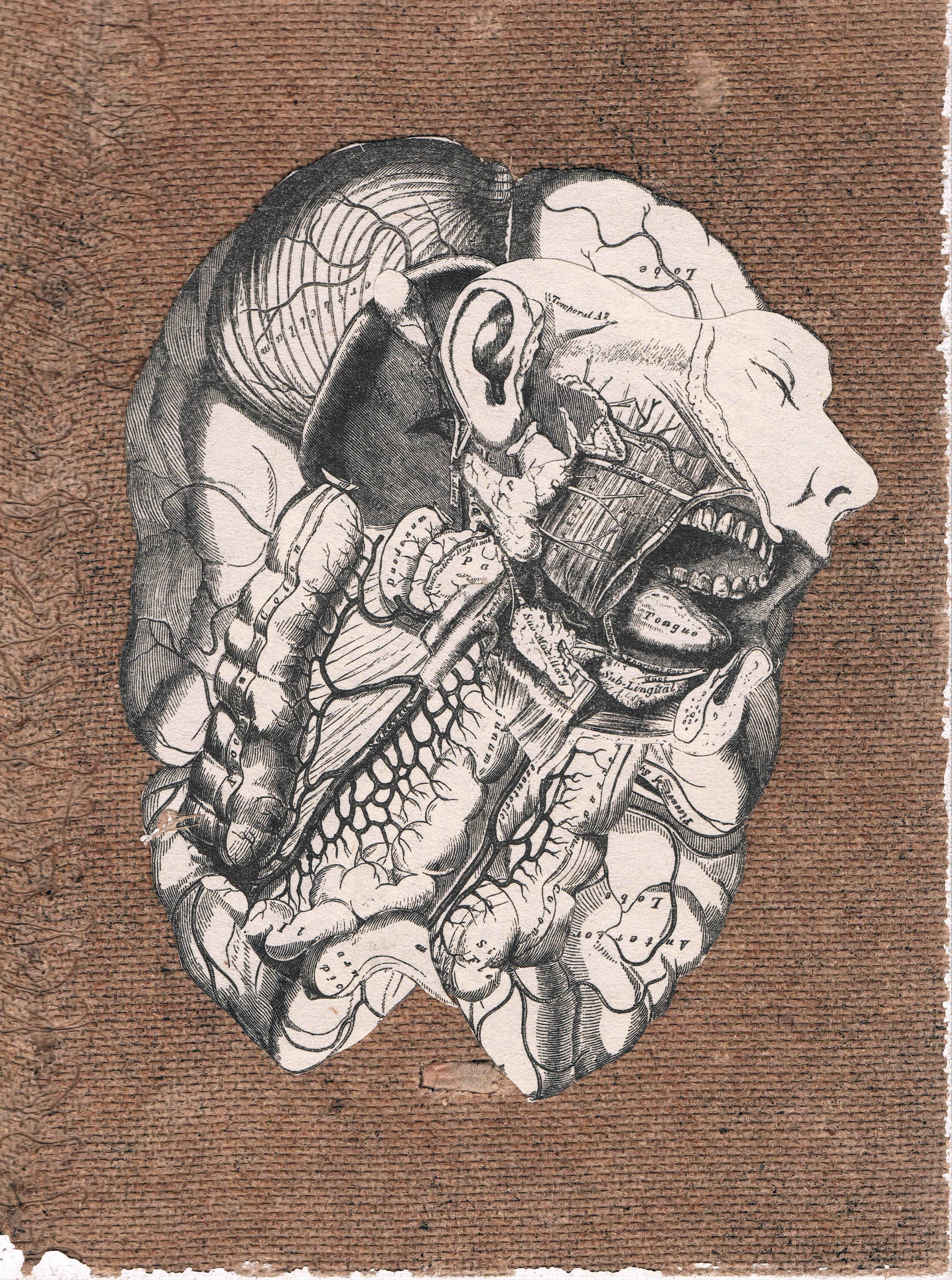 "Maligned 2" (2013)