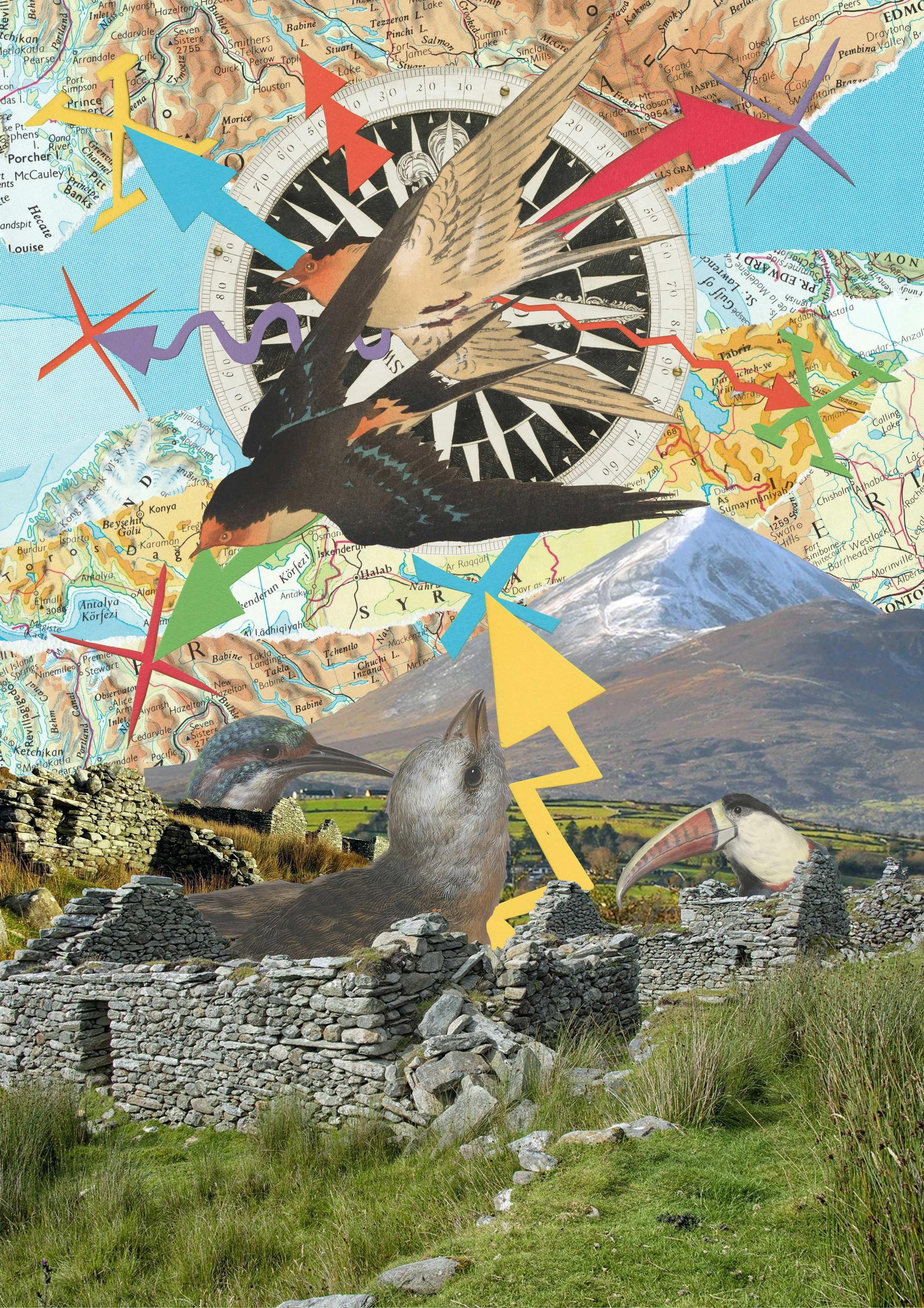 Migration — News — The Art of Anthony D Kelly