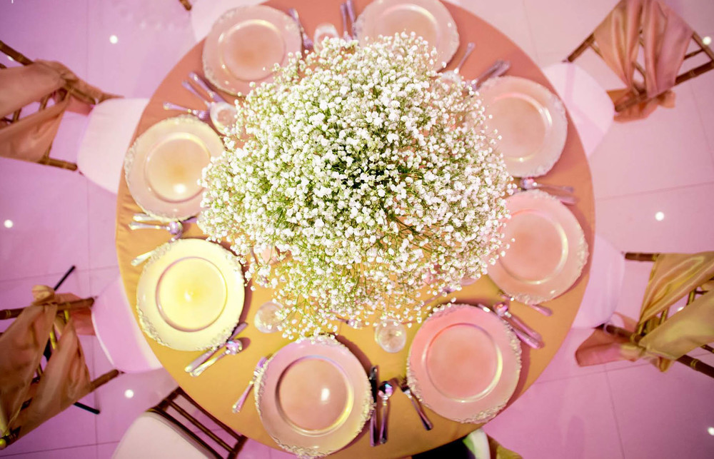 PALMS PARTY PLANNER palms-party-planner