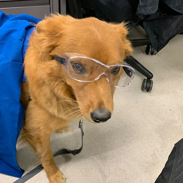 Ernie.jpg