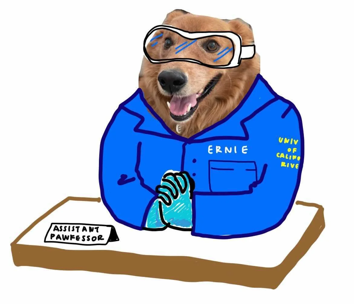 Drawn by Miku Shimono