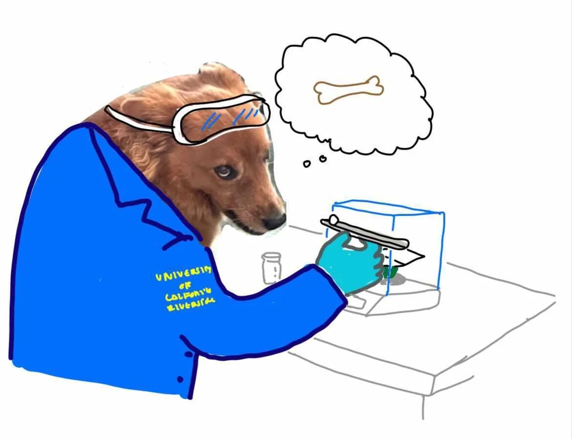 Drawn by Miku Shimono