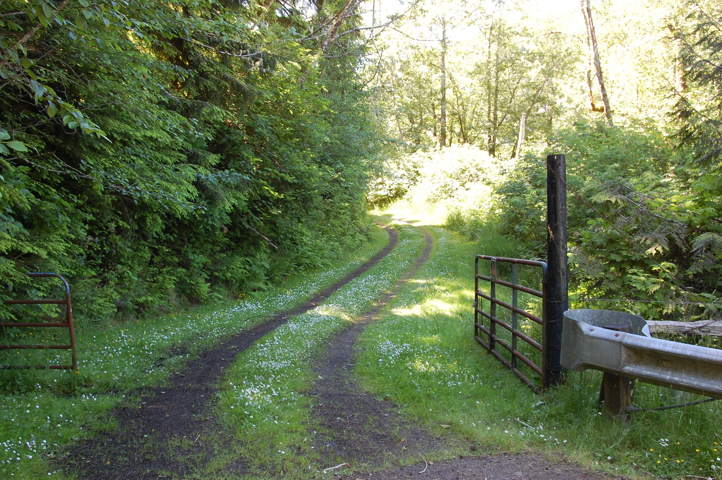 Welcome to Fiddle Creek Home