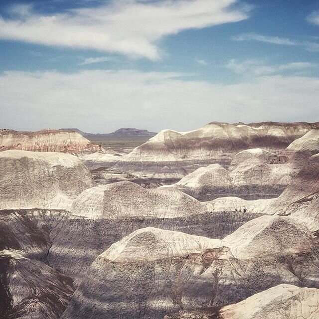 Arizona painted desert and petrified forest...additional bonus of ancient Native American petroglyphs.