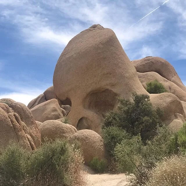 Skull Rock...Brian couldn&rsquo;t help himself. @joshuatreenps