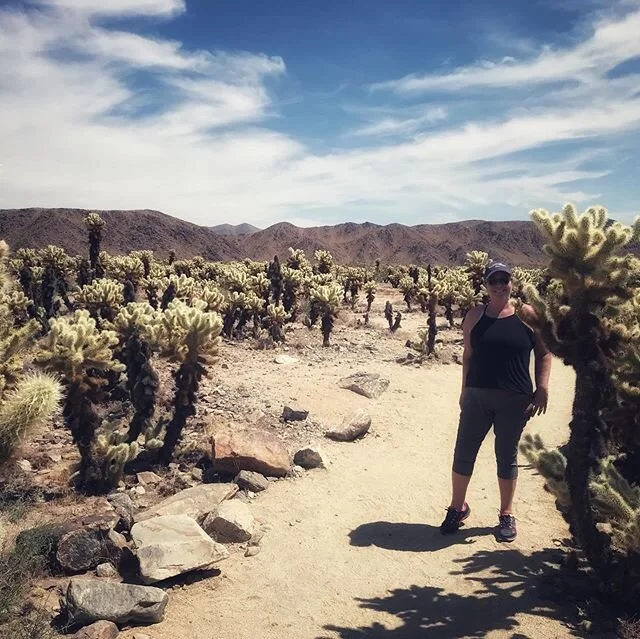 Another first for both of us..Joshua Tree National Park. Oh how stunning!