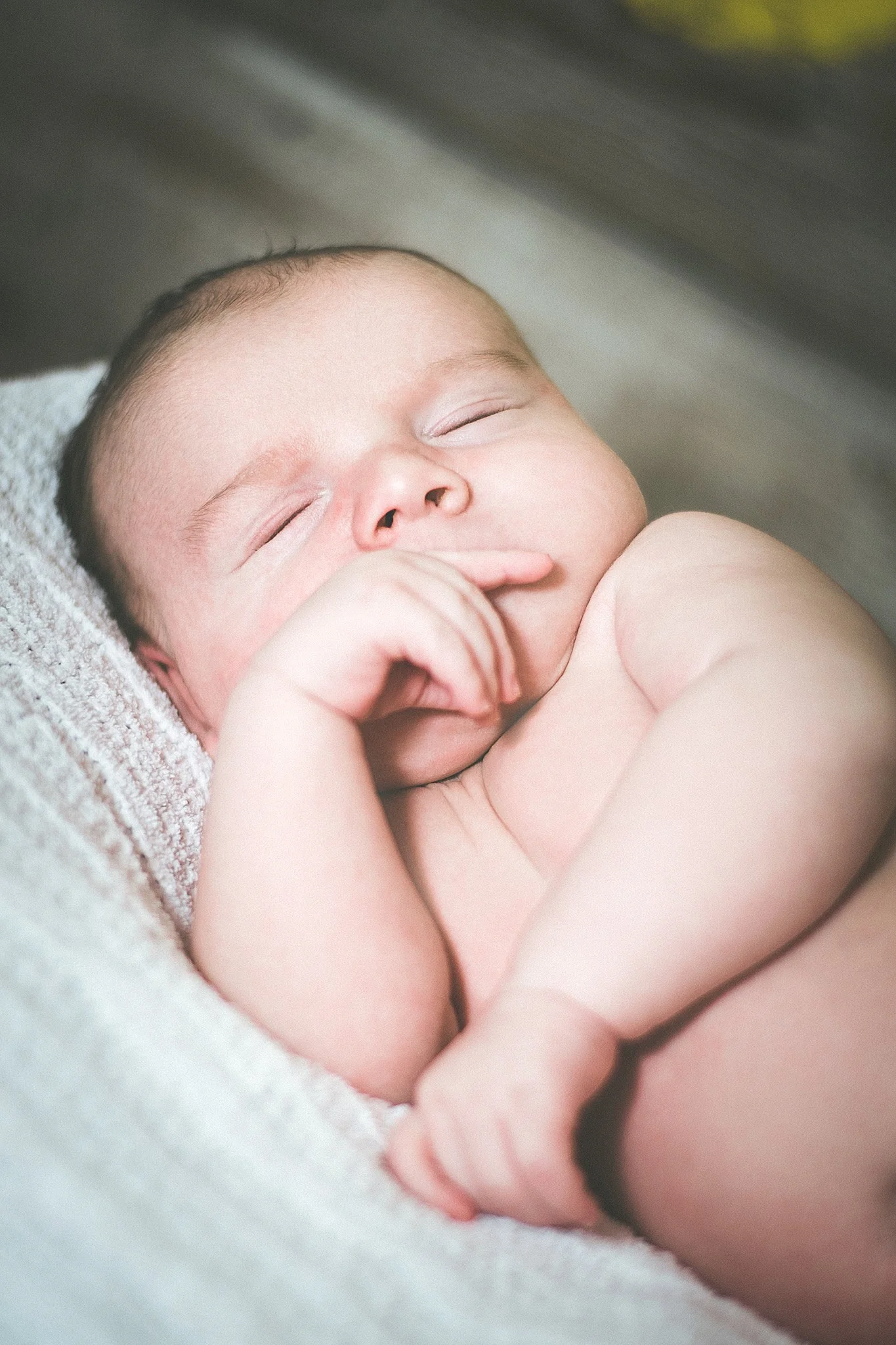 People | Family- Lifestyle 5.jpg