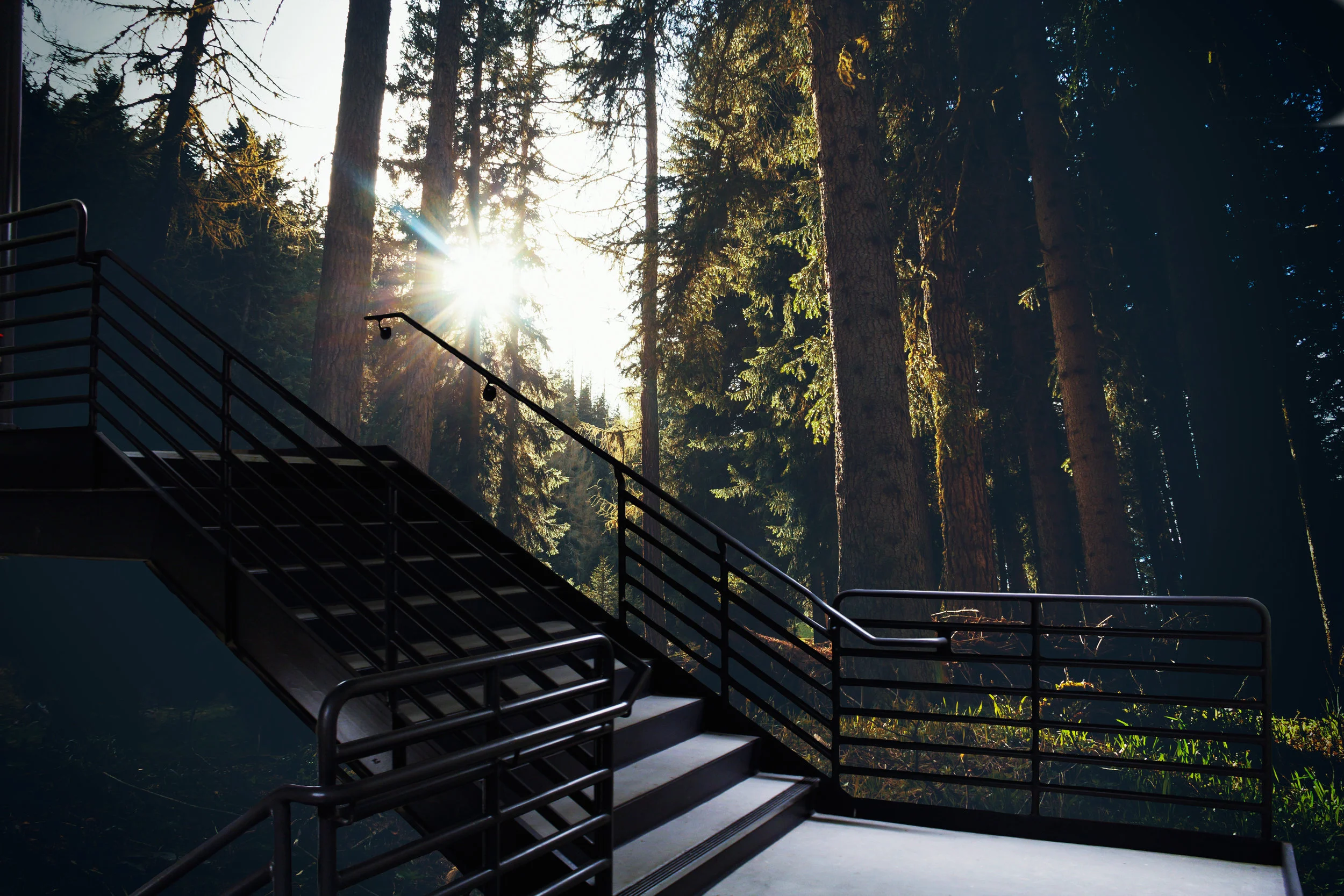 Tudor-Stairs_8.jpg
