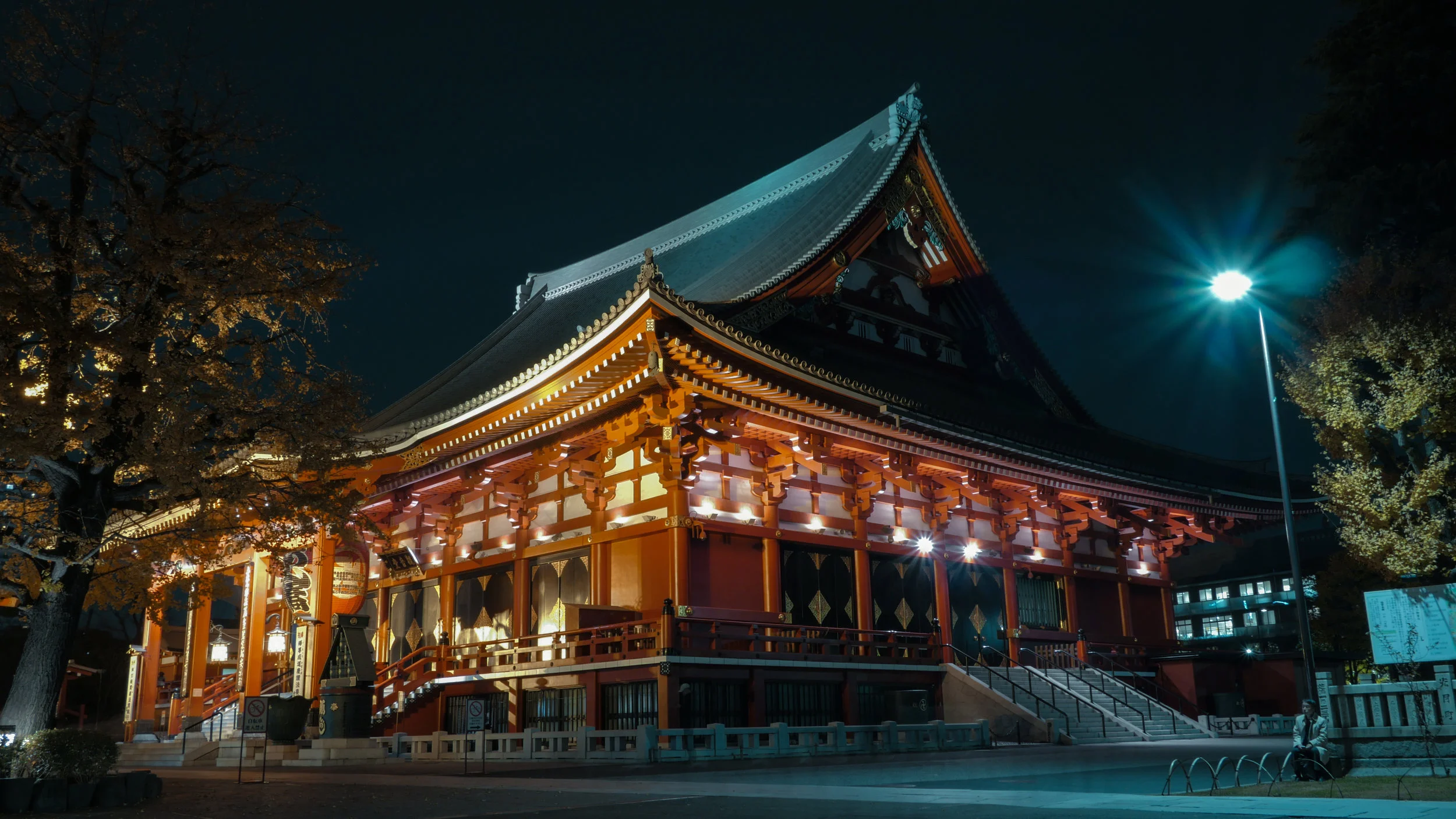 THE NIGHTS OF ASAKUSA