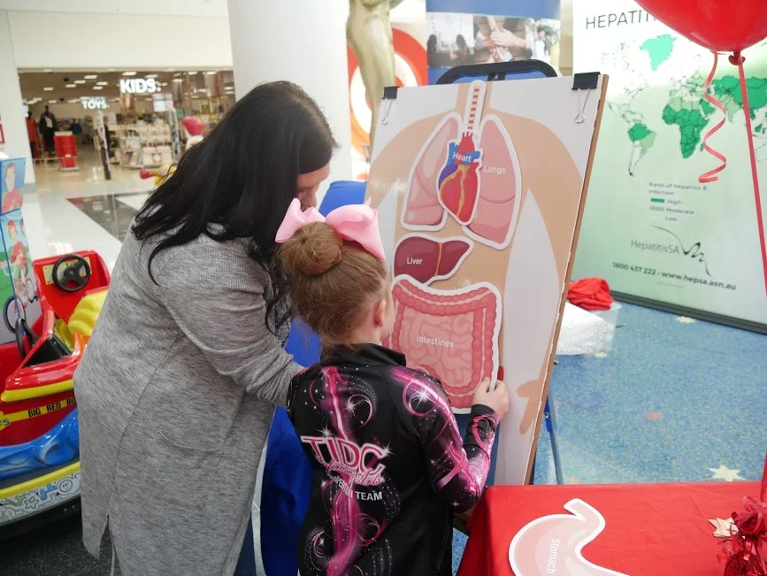 Learning about liver health in South Australia