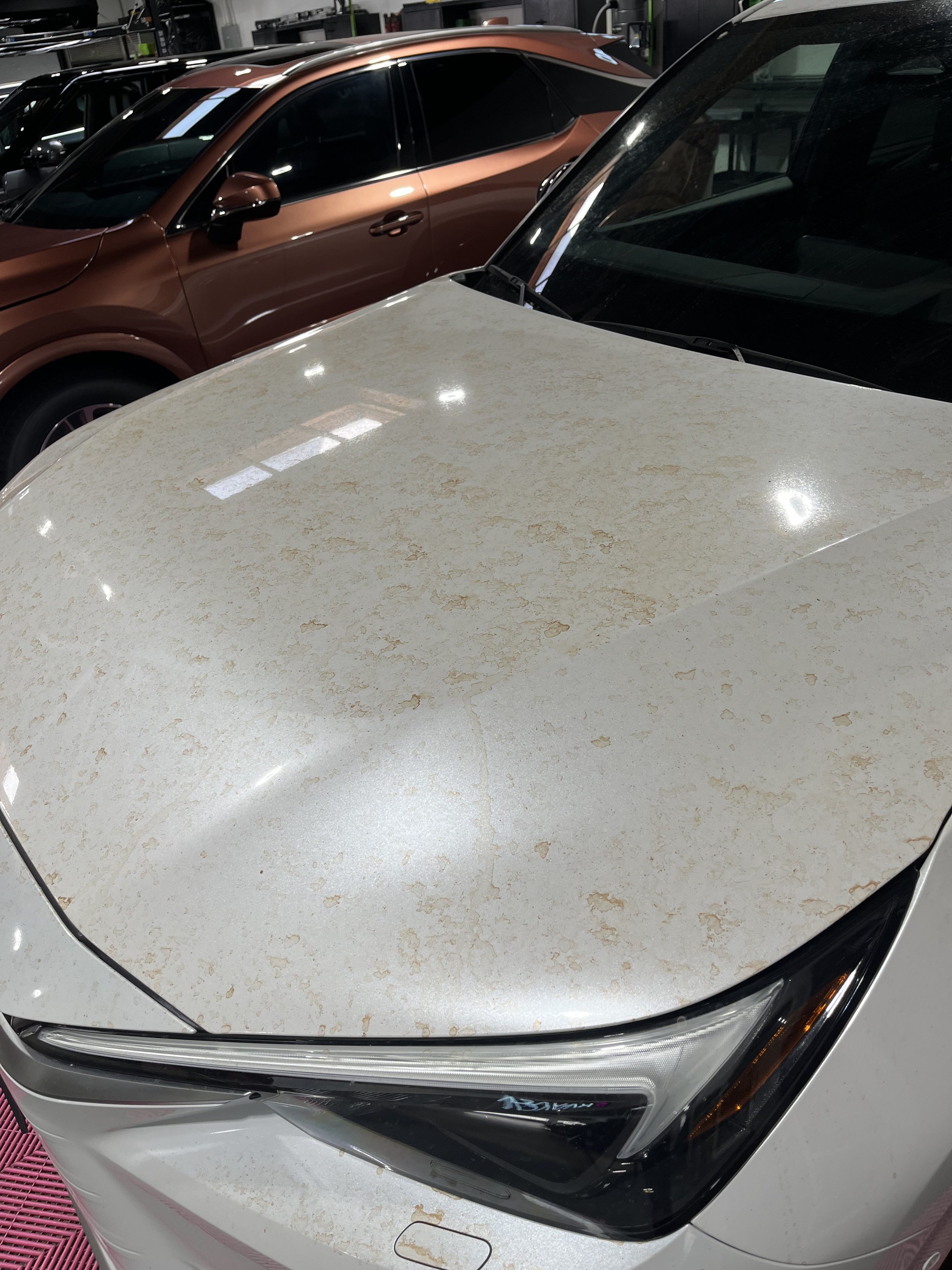 tree sap stains on hood of Lexus TX