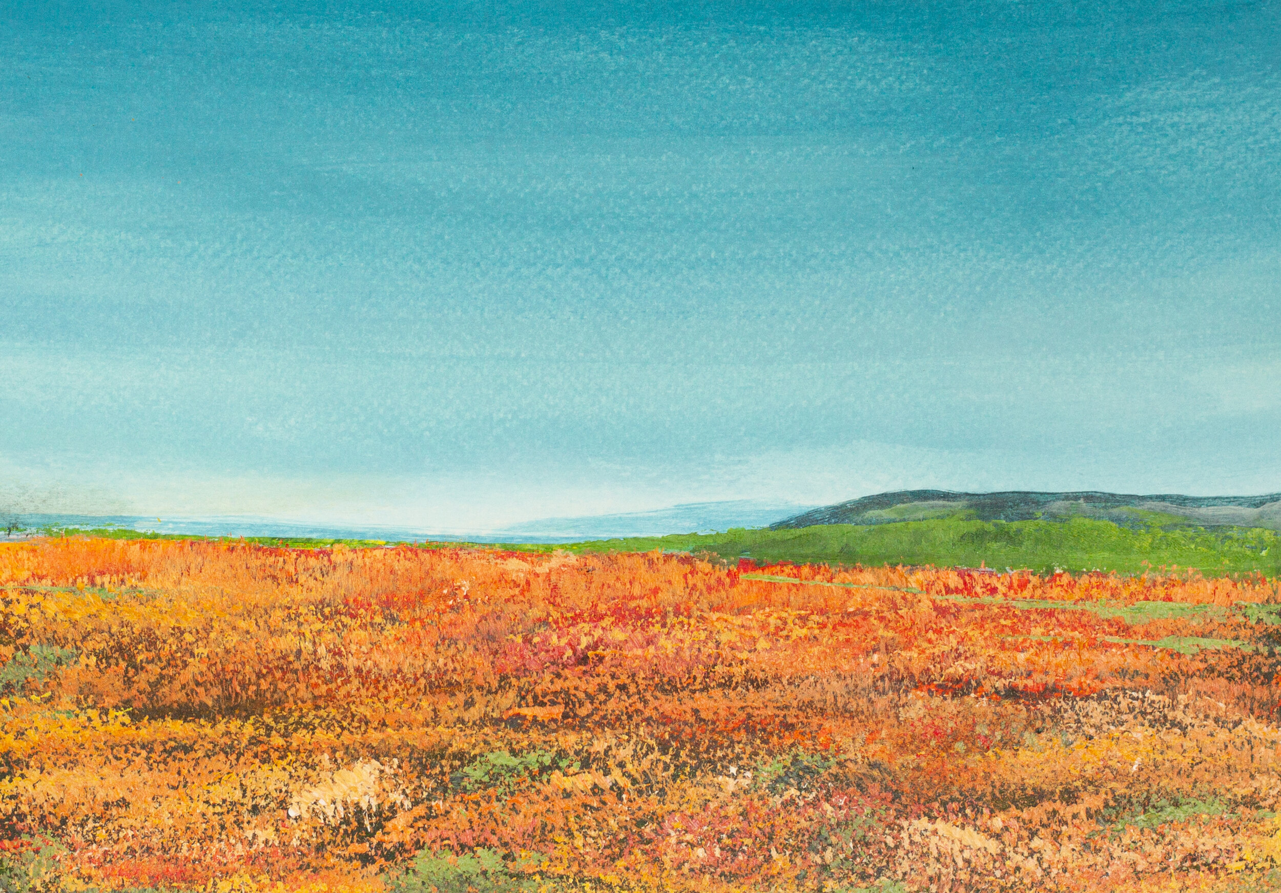 California Landscape - 5