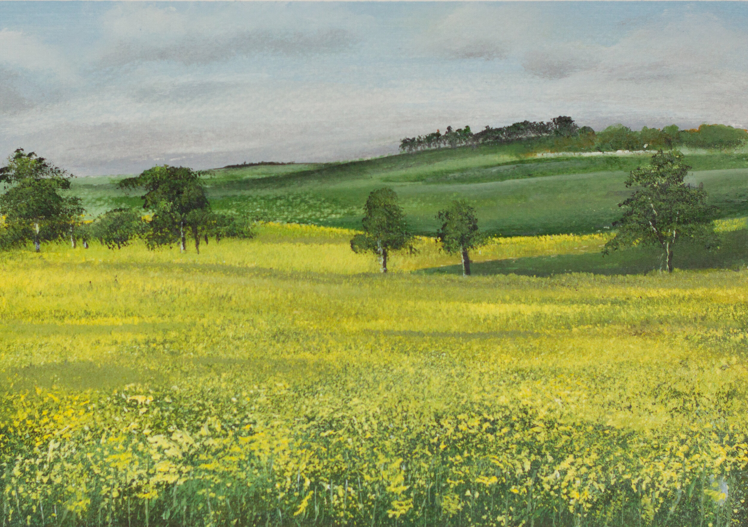 California Landscape - 7