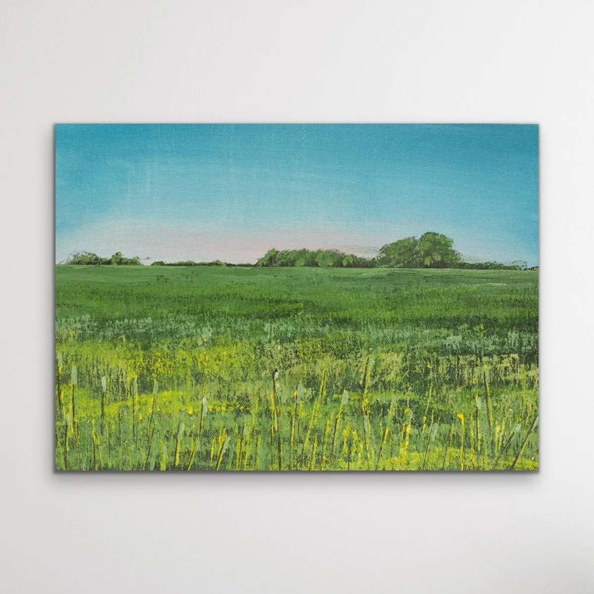 California Landscape - 13