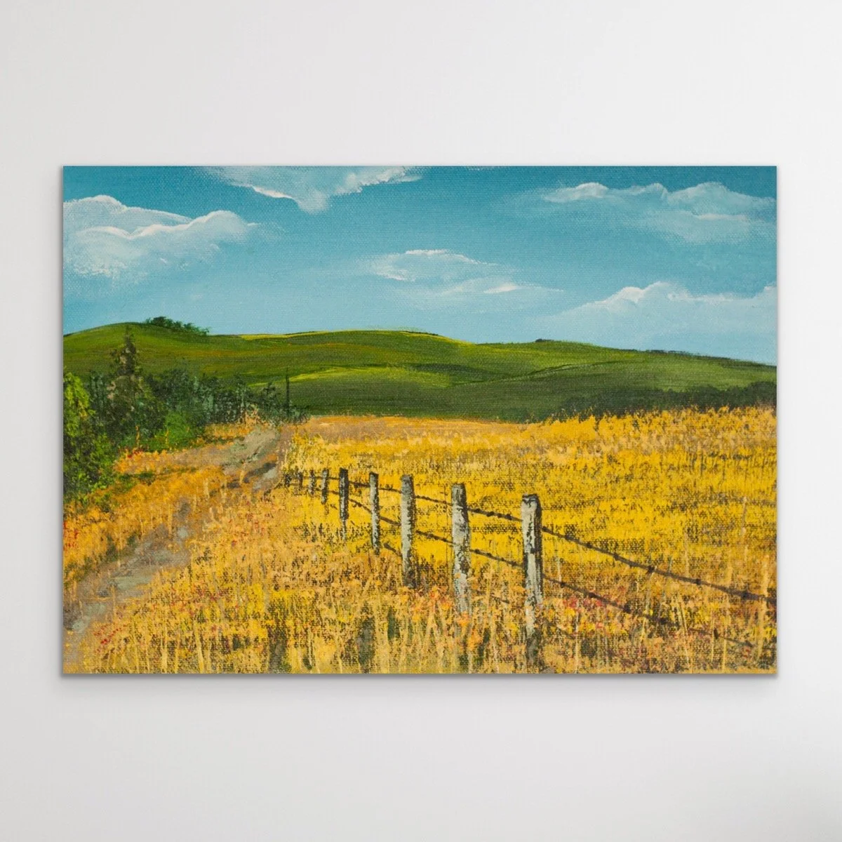 California Landscape - 15