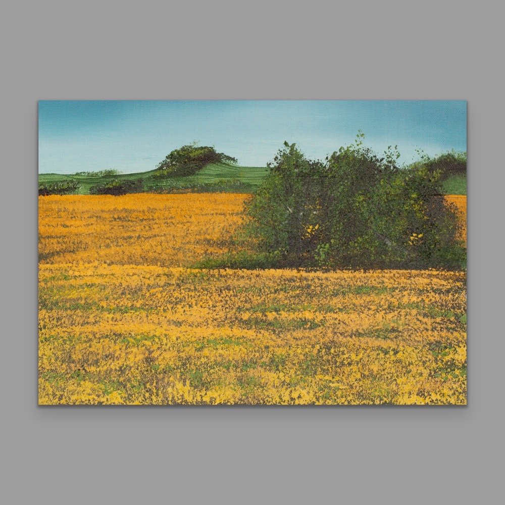 California Landscape - 21