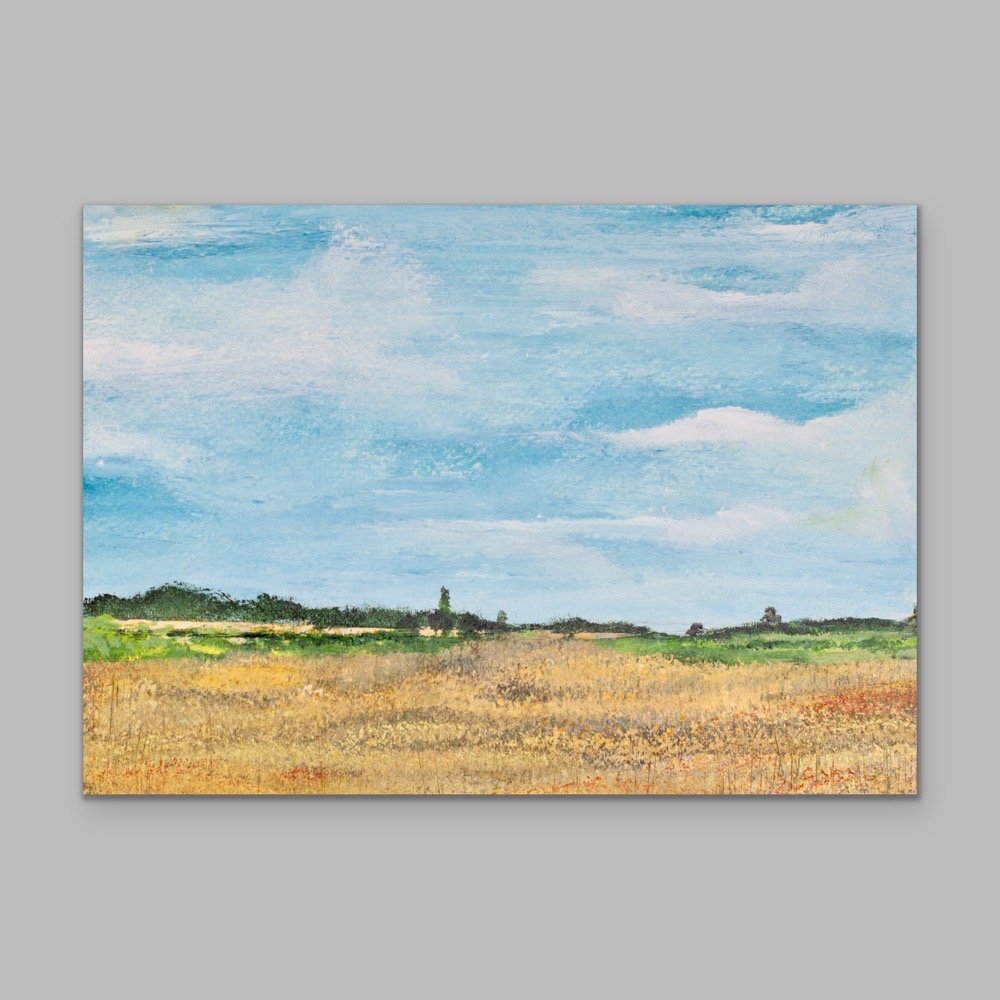 California Landscape - 4