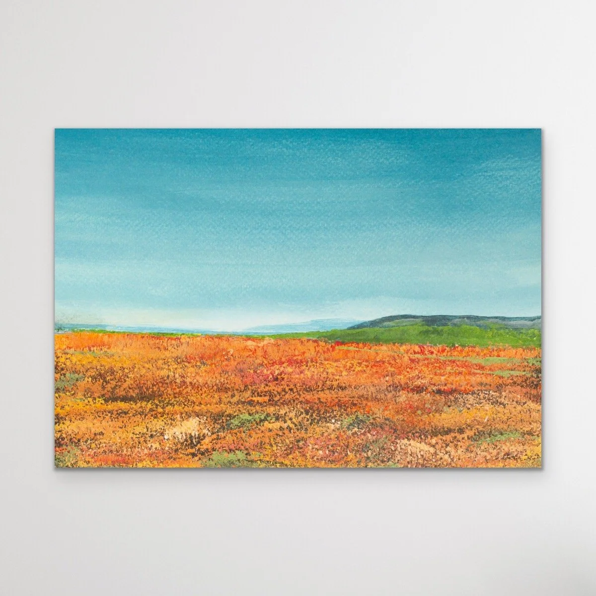 California Landscape - 5