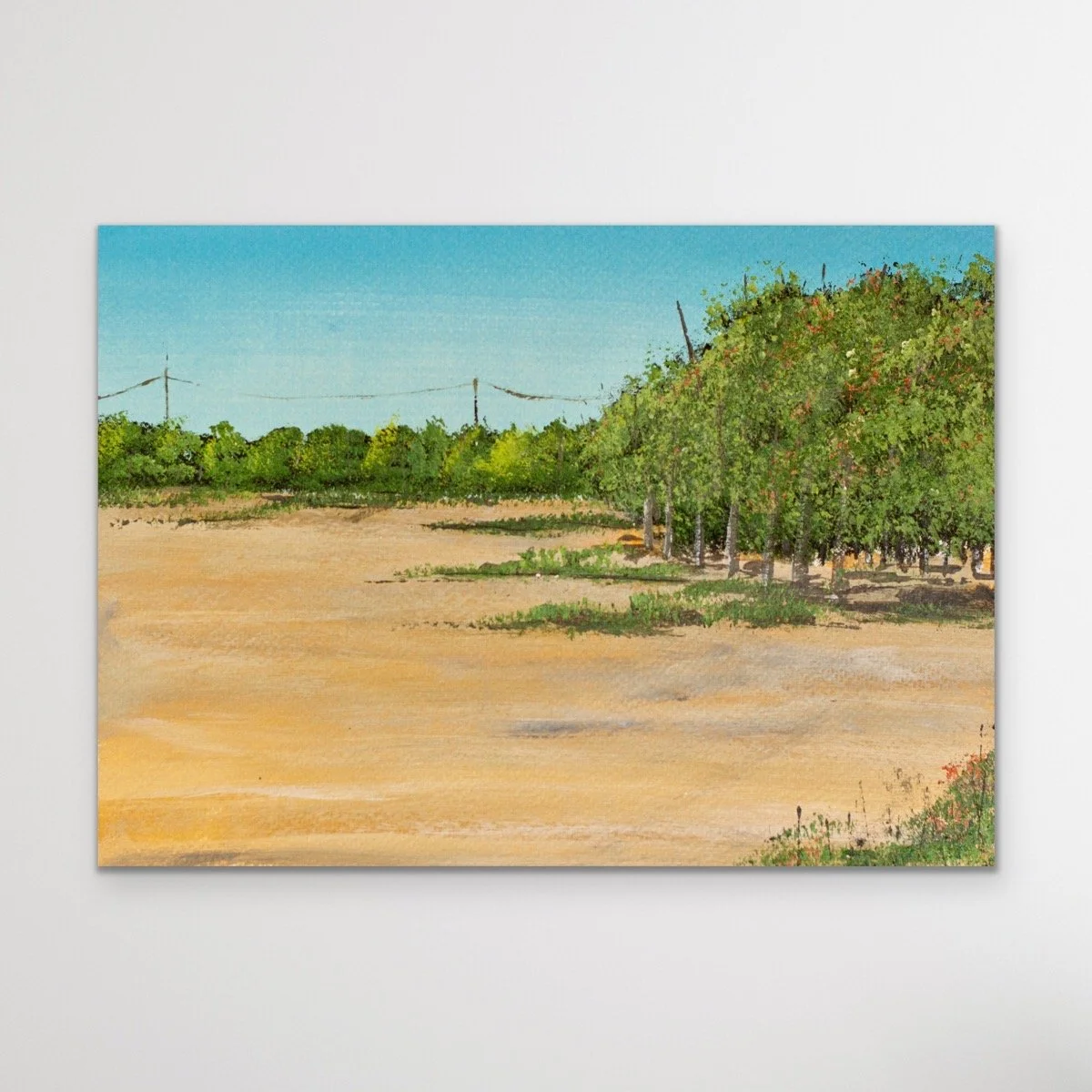 California Landscape - 11