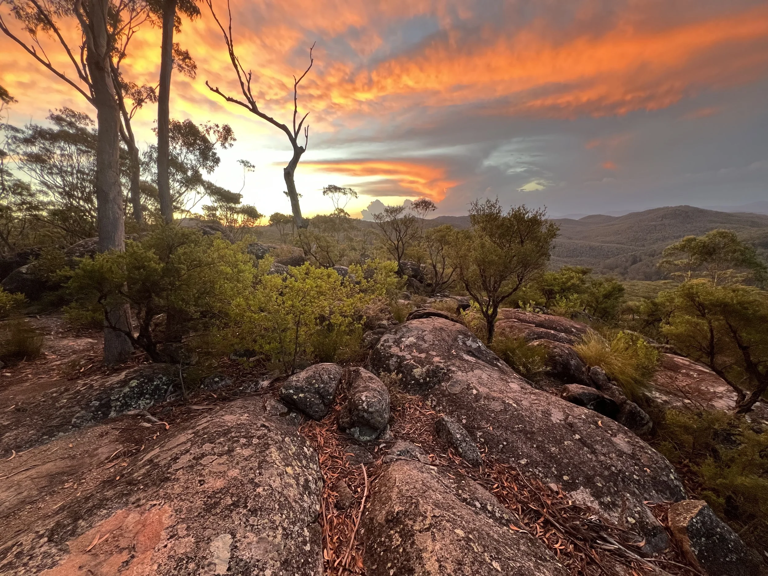 Granite Lookout Washpool National Park