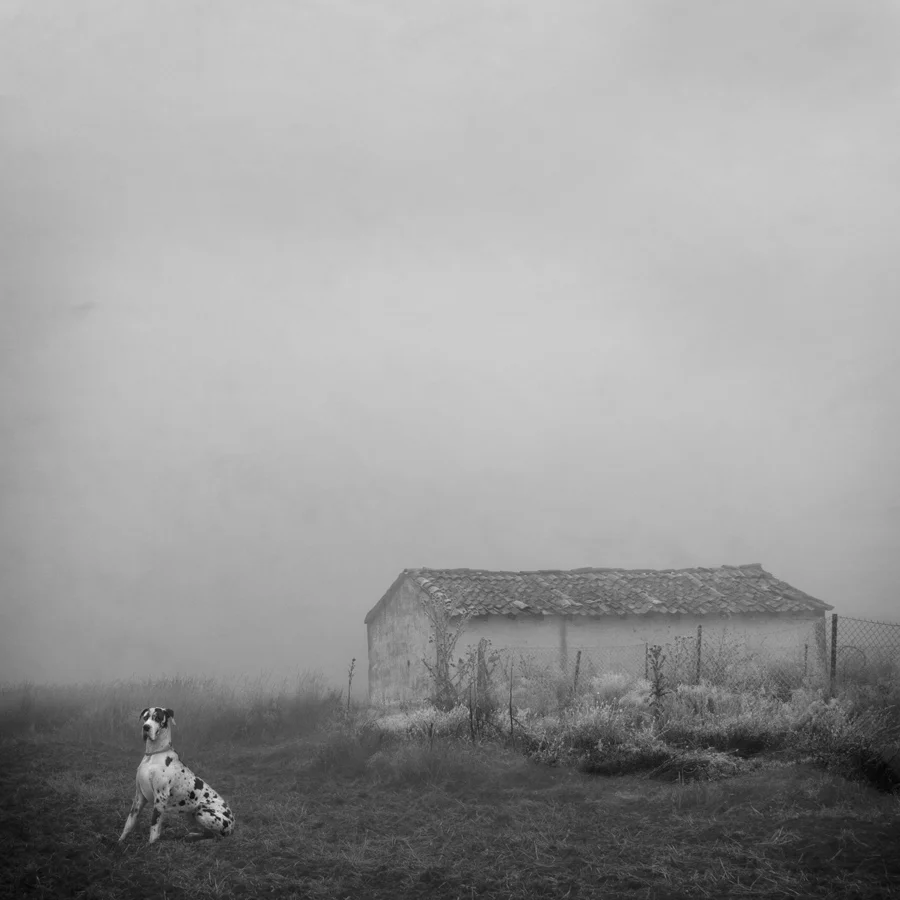 RosaBasurto_blanco6.jpg