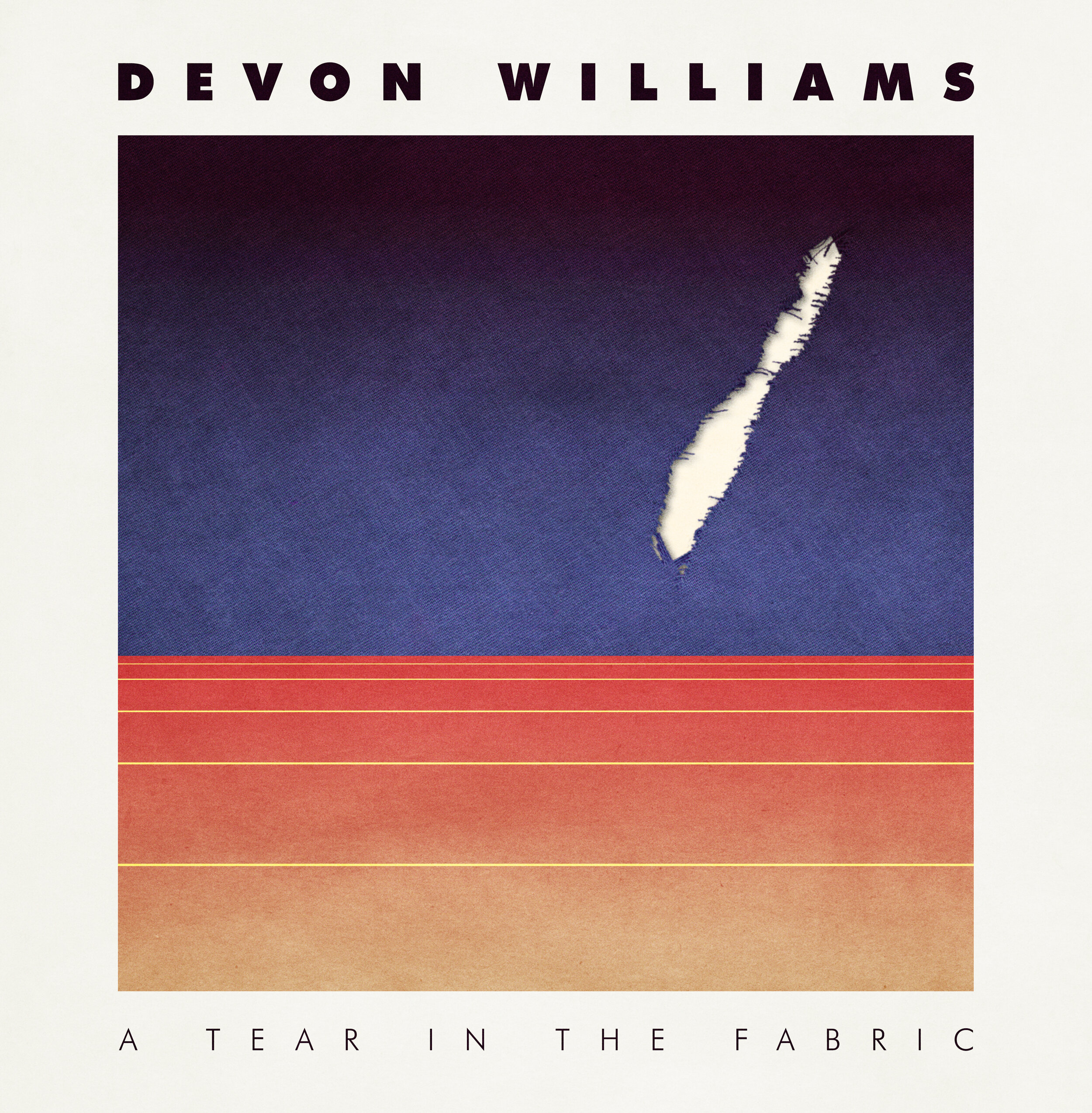 devon williams - a tear in the fabric.jpg