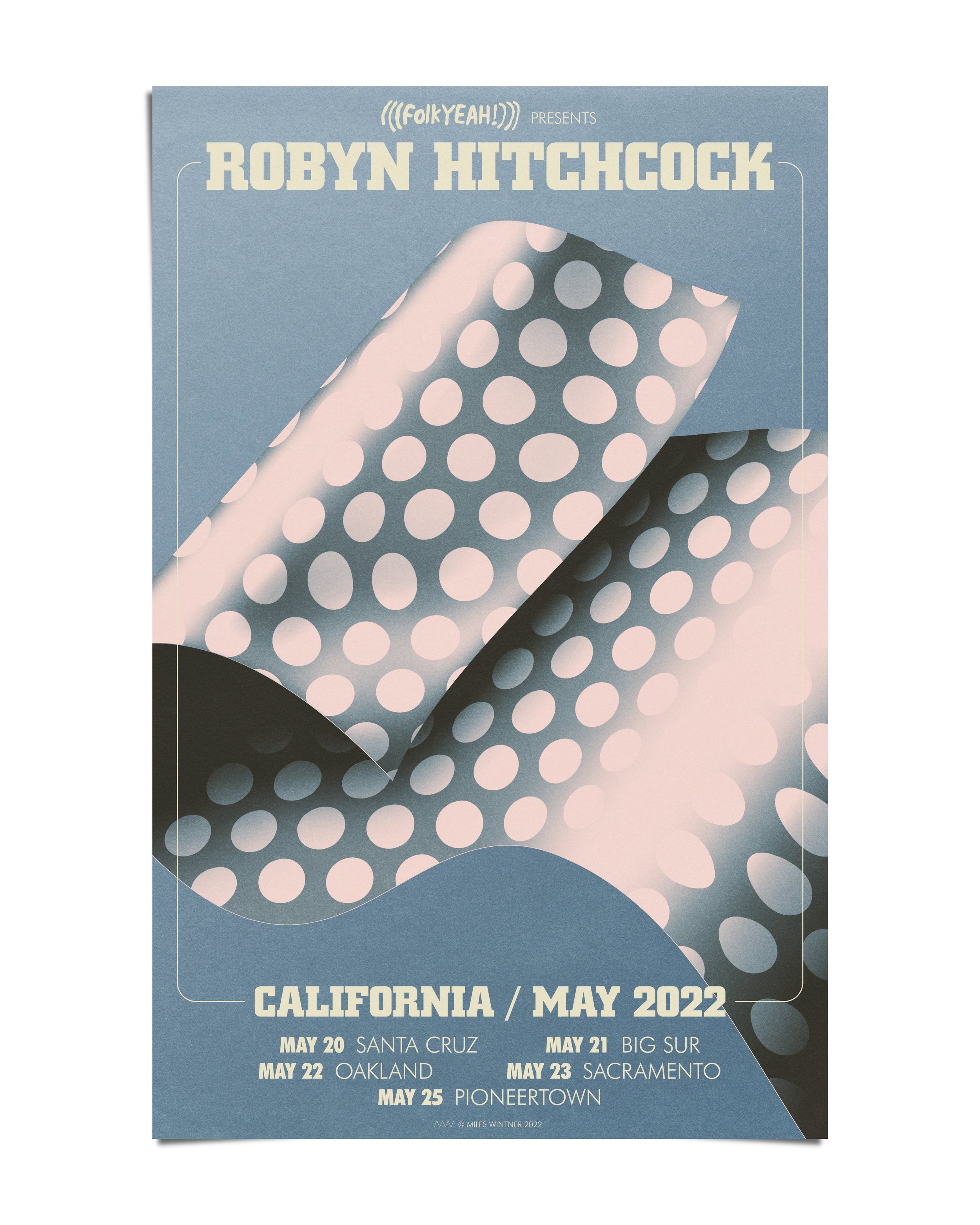 robyn hitchcock poster (socials).jpg