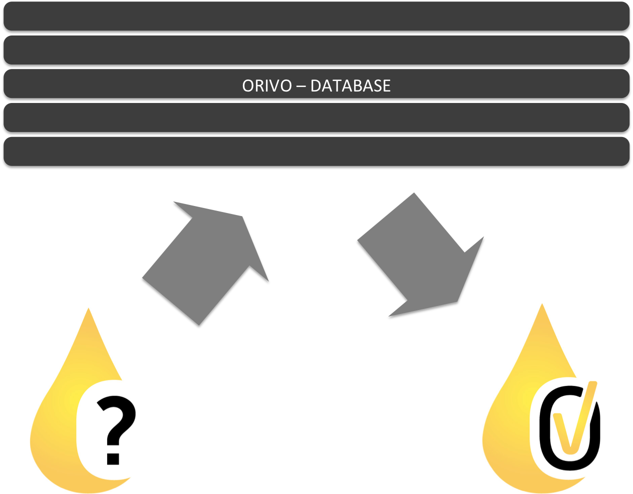 database.png