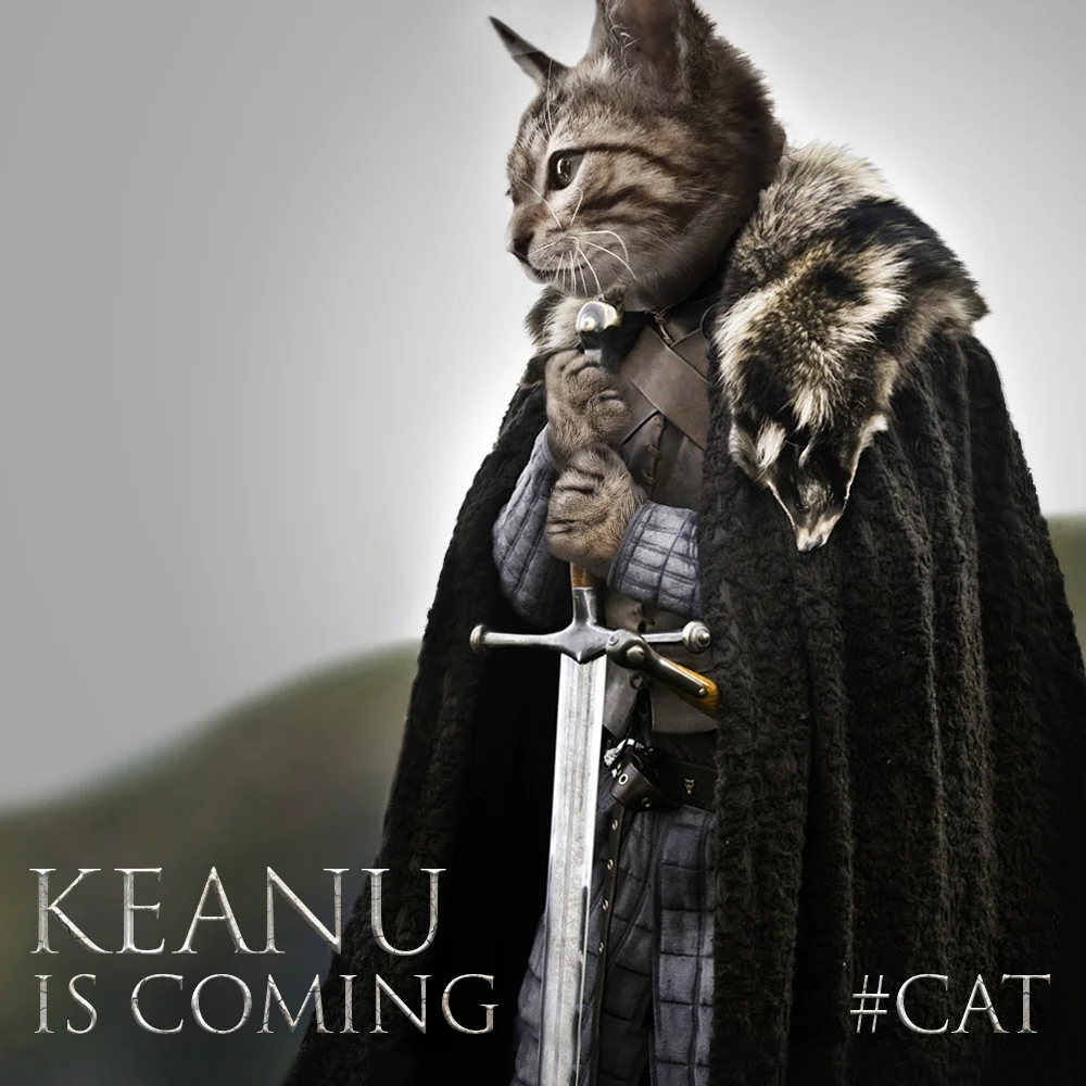 keanu_got_cat_032416_v02b_jm.jpg