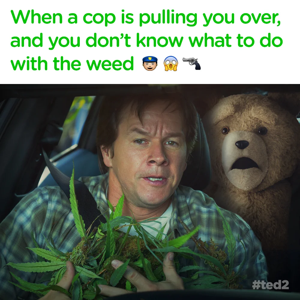 ted2_fj_style_weed_092415_v01_jm.jpg