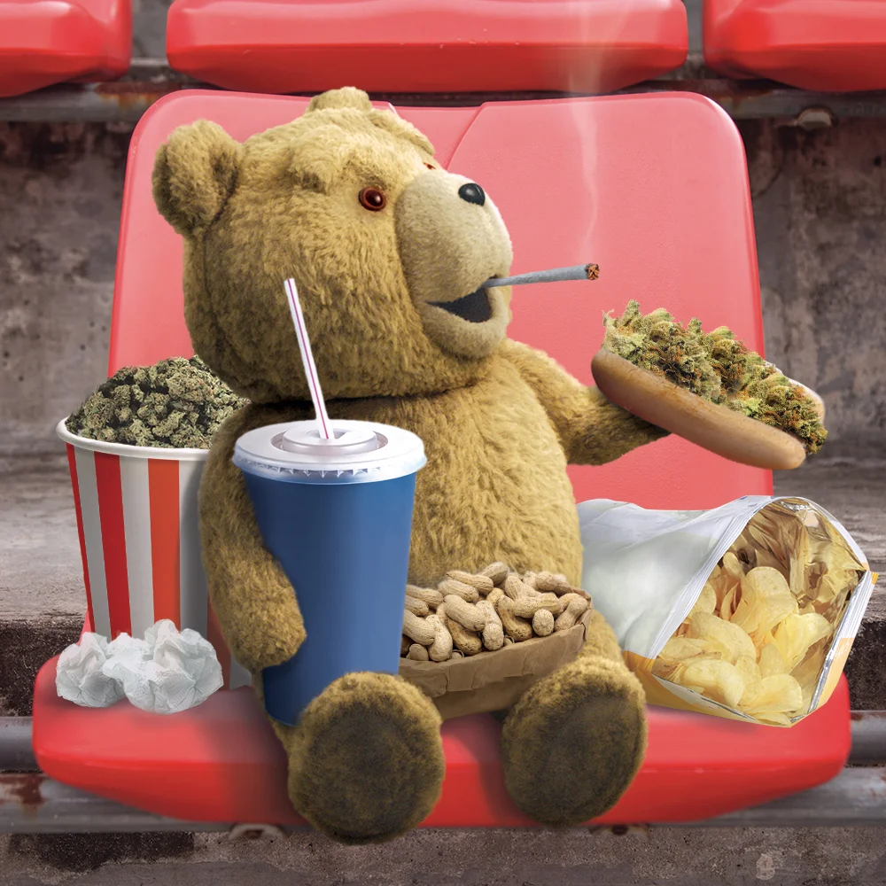 ted2_super_bowl_020115_v01_jm.jpg