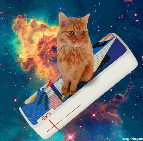 tumblr_o5lgrce6uU1tcwoyqo1_500.gif