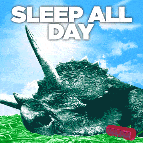 ue_sleepsallday_b04_022615_kl.gif