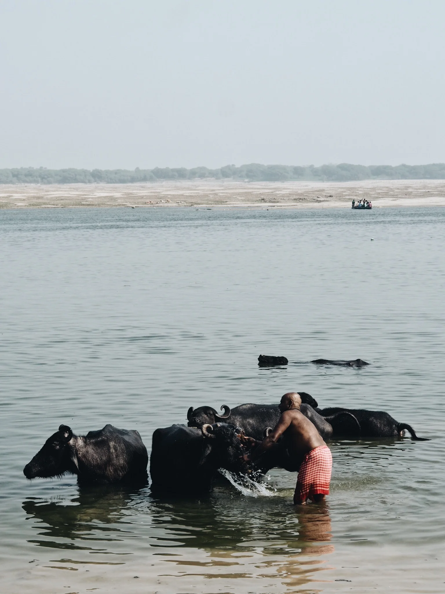 India_2017_Varanasi33.jpg