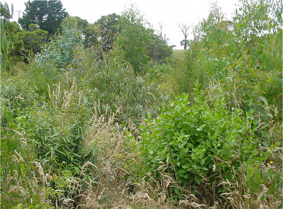 Pound Creek