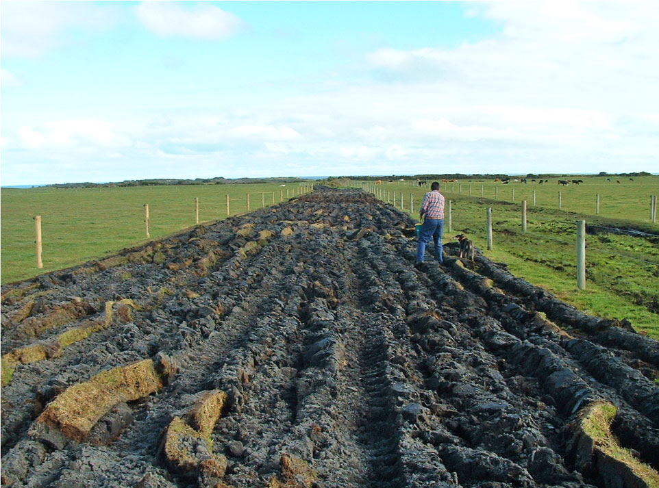 Scattering seed on Mould- board ploughed site