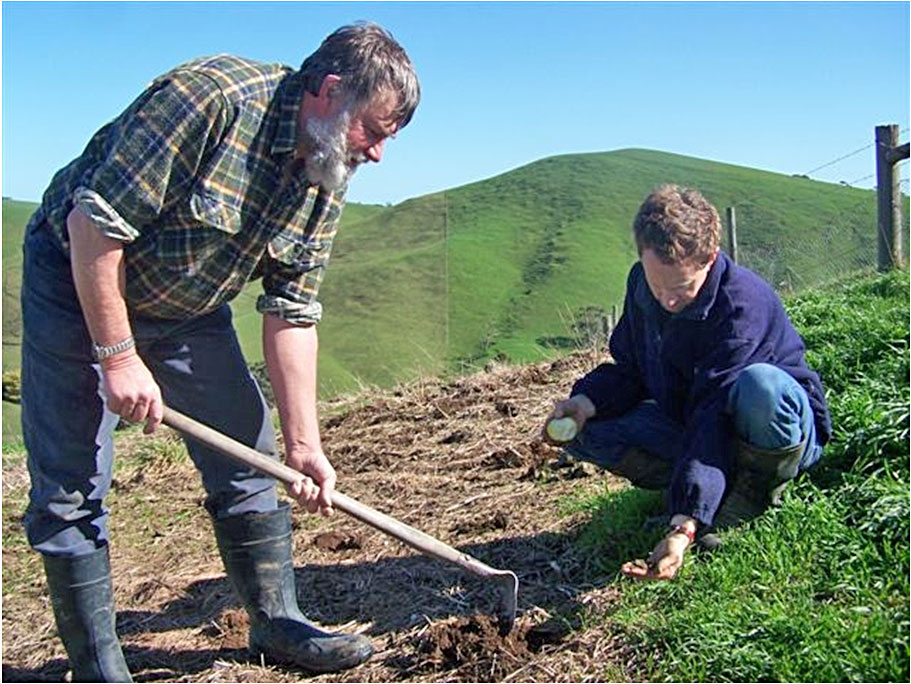 Planting the seeds