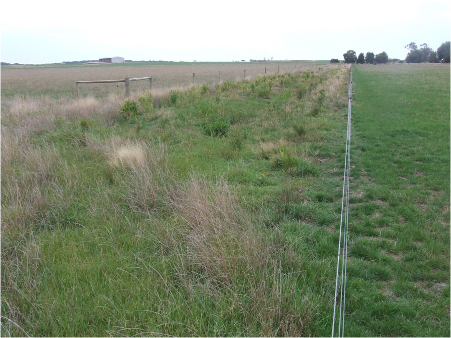 Scalped site in July 2010