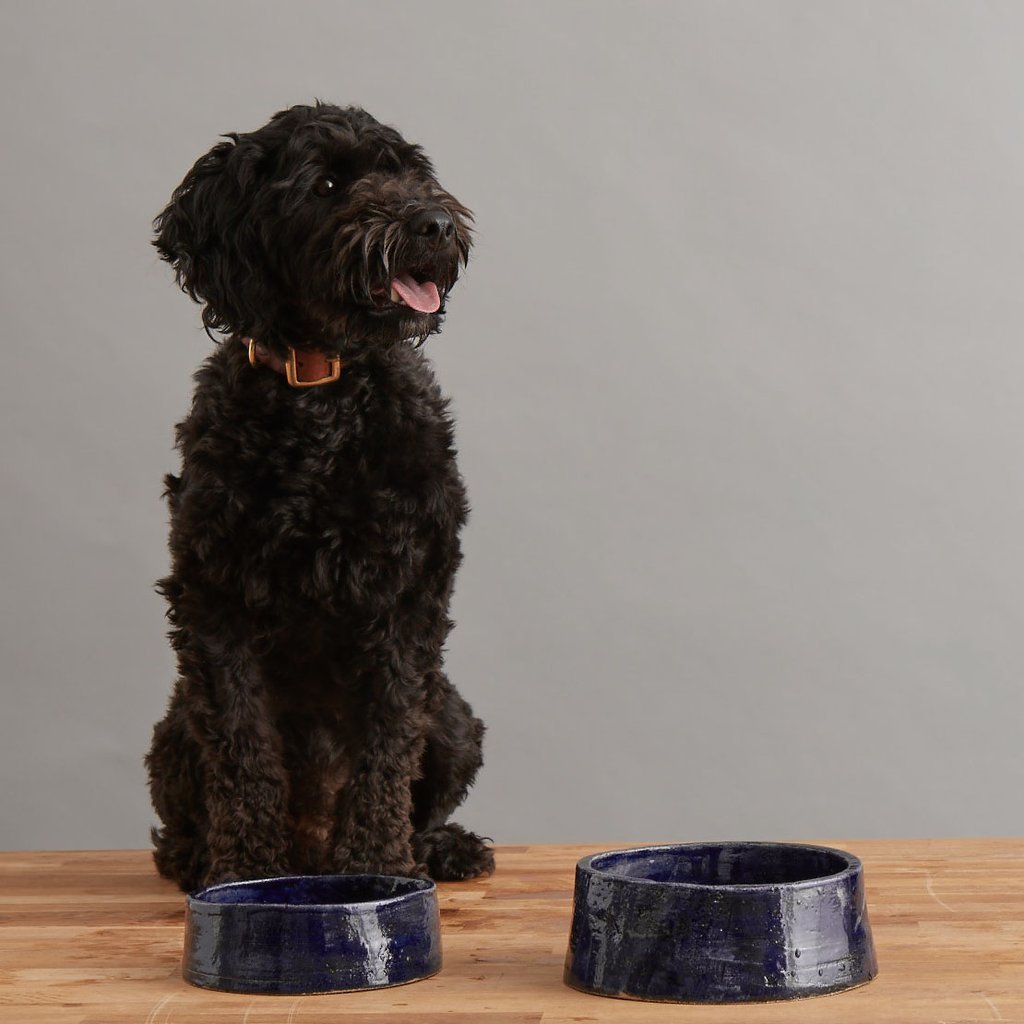 Fetch_and_Follow_Navy_Dog_Bowl_Lifestyle_1024x1024.jpg