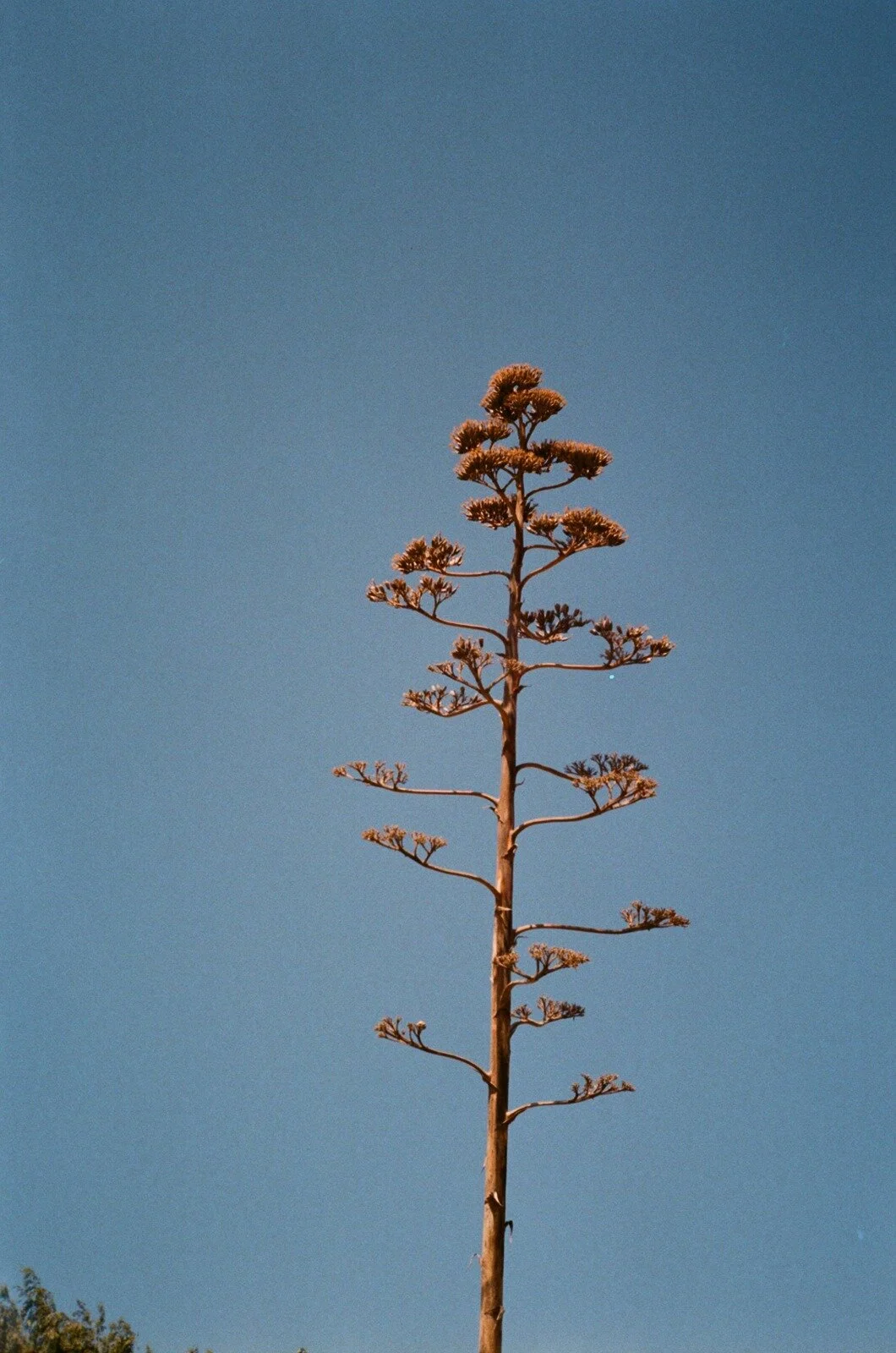 WhatsApp Image 2020-10-21 at 2.59.23 PM (1).jpeg