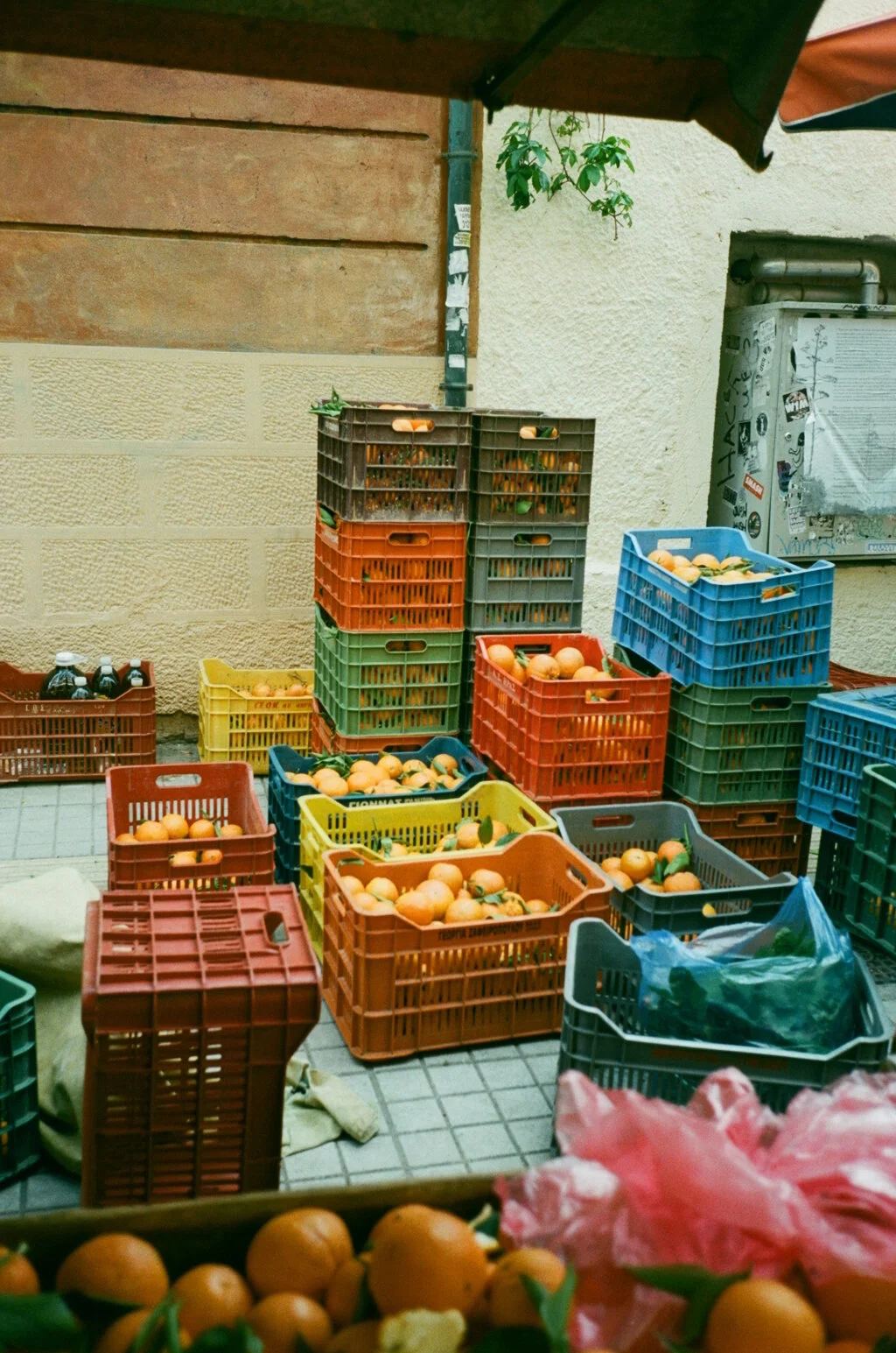 WhatsApp Image 2020-10-21 at 3.02.01 PM.jpeg