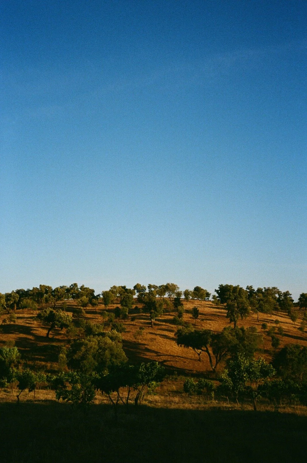 WhatsApp Image 2021-09-19 at 19.59.53.jpeg